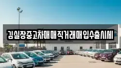 김실장중고차매매직거래매입수출시세