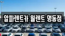 알파렌트카 월렌트 명동점