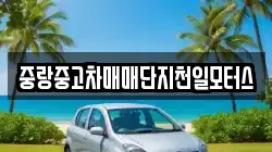 중랑중고차매매단지천일모터스