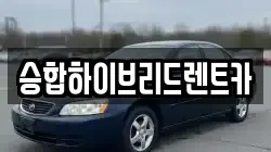승합하이브리드렌트카