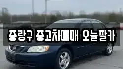 중랑구 중고차매매 오늘팔카