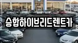 승합하이브리드렌트카