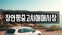 장안평중고차매매시장