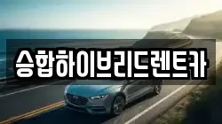 승합하이브리드렌트카