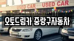 오토드림카 중랑구자동차
