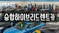 승합하이브리드렌트카