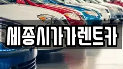 세종시가가렌트카