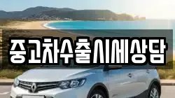 중고차수출시세상담