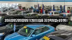 강아지파양고양이파양유기견보호소실종구조안락사없는보호센터