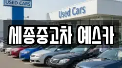 세종중고차 예스카