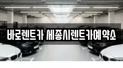 바로렌트카 세종시렌트카예약소