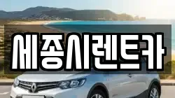 세종시렌트카