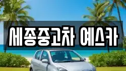 세종중고차 예스카