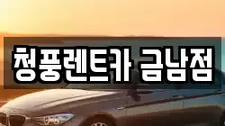 세종특별자치시 금남면 렌트카,단기렌트카,장기렌트카,중고차,중고차매매,중고차매입