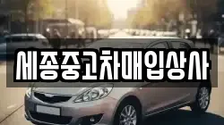 세종중고차매입상사