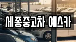 세종중고차 예스카