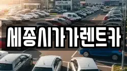 세종시가가렌트카