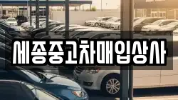 세종중고차매입상사