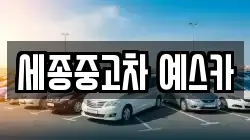 세종중고차 예스카