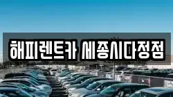 세종특별자치시 다정동 렌트카,단기렌트카,장기렌트카,중고차,중고차매매,중고차매입