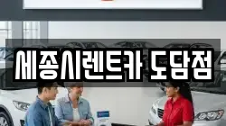 세종특별자치시 도담동 렌트카,단기렌트카,장기렌트카,중고차,중고차매매,중고차매입