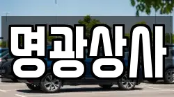 명광상사