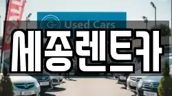 세종렌트카
