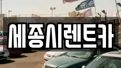 세종시렌트카
