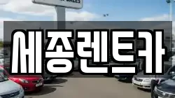 세종렌트카