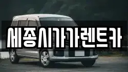 세종시가가렌트카