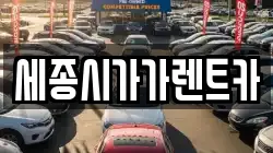 세종시가가렌트카