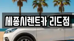 세종시렌트카 리드점
