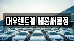 세종특별자치시 새롬동 렌트카,단기렌트카,장기렌트카,중고차,중고차매매,중고차매입