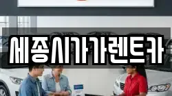 세종시가가렌트카