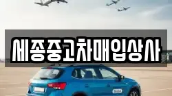 세종중고차매입상사