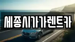 세종시가가렌트카