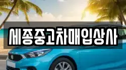 세종중고차매입상사