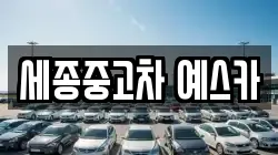 세종중고차 예스카