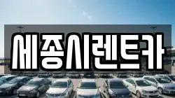 세종시렌트카
