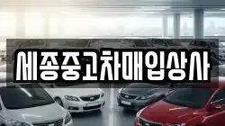 세종중고차매입상사