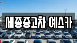 세종중고차 예스카