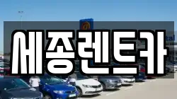 세종특별자치시 소담동 렌트카,단기렌트카,장기렌트카,중고차,중고차매매,중고차매입