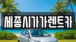 세종시가가렌트카