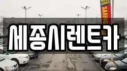 세종시렌트카