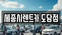 세종시렌트카 도담점