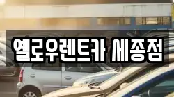 세종특별자치시 아름동 렌트카,단기렌트카,장기렌트카,중고차,중고차매매,중고차매입
