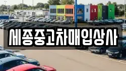 세종중고차매입상사
