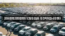강아지파양고양이파양유기견보호소실종구조안락사없는보호센터