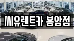 세종특별자치시 연기면 렌트카,단기렌트카,장기렌트카,중고차,중고차매매,중고차매입