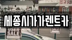 세종시가가렌트카